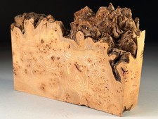 Burr Elm Live Edge Woodturning