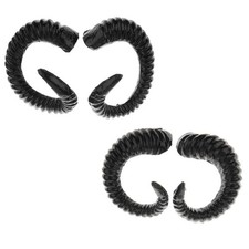 One Pair Sheep Horns COS