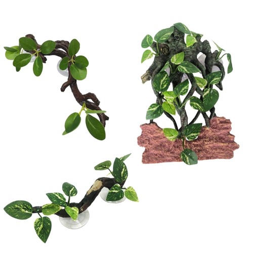 Suction cup terrarium corner - cup,