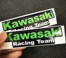 2PCS Kawasaki RACING 3d