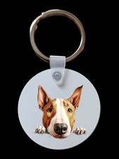 Peeking peeping bull terrier - peeking,