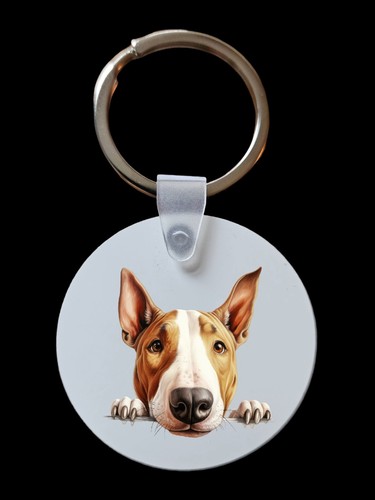 Peeking peeping bull terrier - peeking,