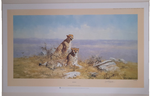 David shepherd serengeti - david, 'serengeti'