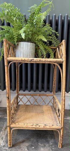 Vintage tiger bamboo - tiger, side