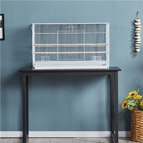 Wide flight cage - flight, bird