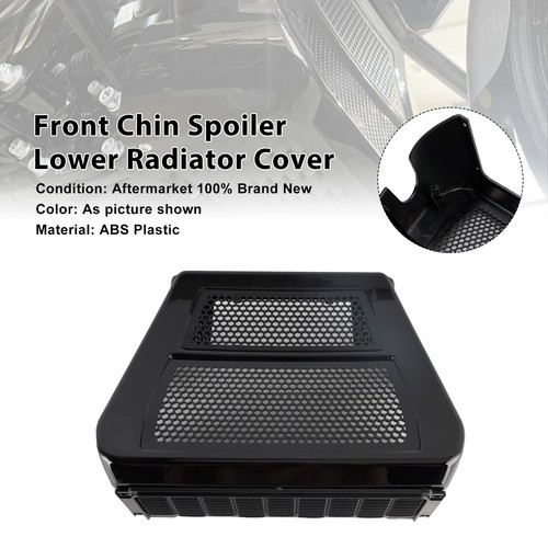 Lower chin spoilers radiator - lower,