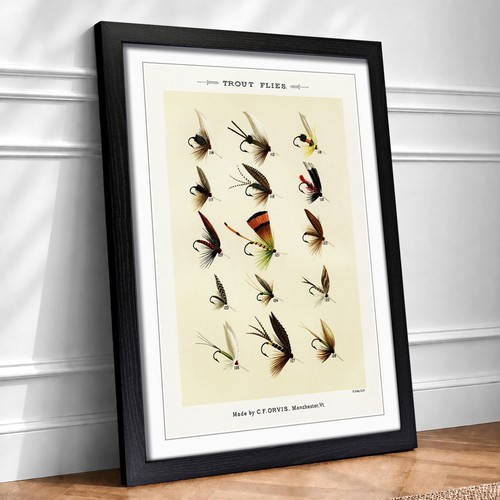 Trout fishing flies - fishing, 6