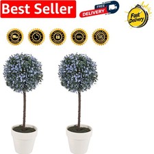 Elegant Set of 2 Blue