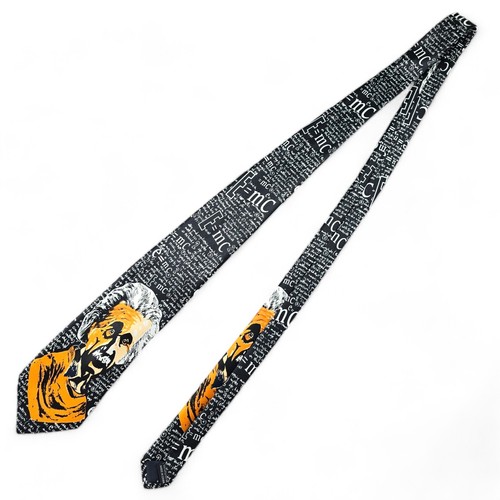 Albert einstein necktie - albert, math