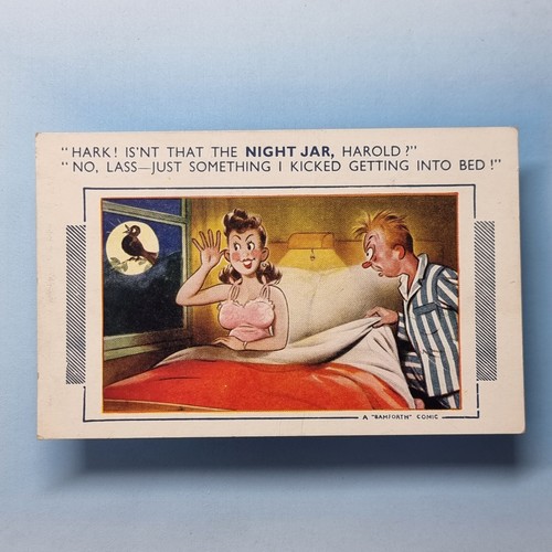 Saucy comic postcard c1965 - saucy,