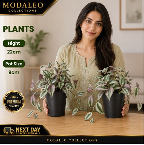 Artificial plants 604 - 2, .933.77