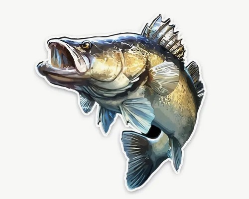 Zander fishing sticker set - zander,