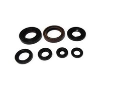 Motor seals Moto gasket set
