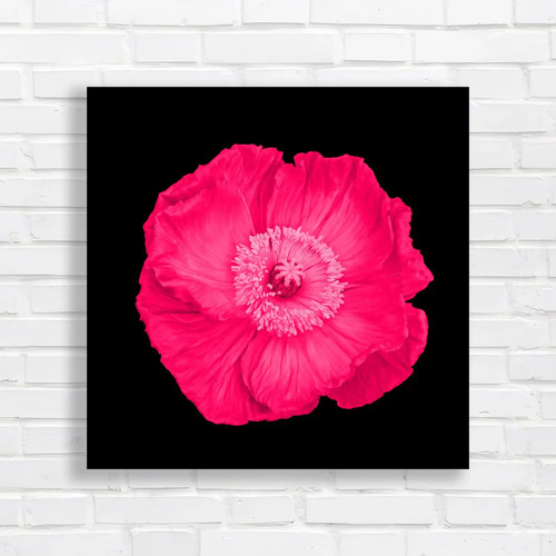 Vibrant orange poppy pink - vibrant,
