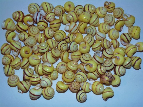 One hundred to 1 - one, 1"