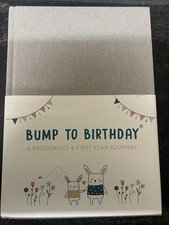 Bump To Birthday A Pregnancy & First Year Journal Book