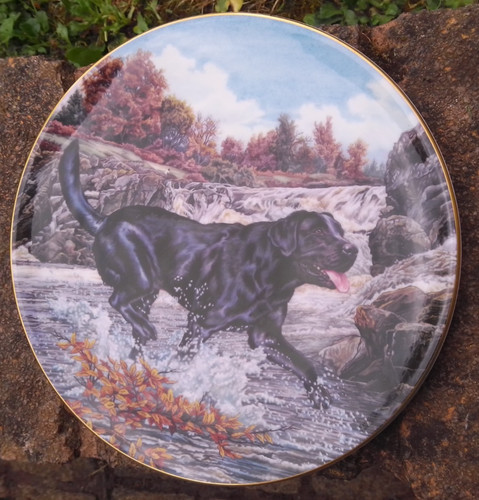 Royal doulton collectors - doulton,