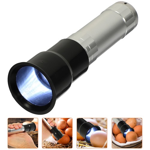 Pcs bird egg - 2,