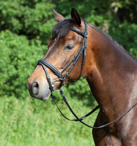 Kieffer ergonomic line snaffle - ergonomic,