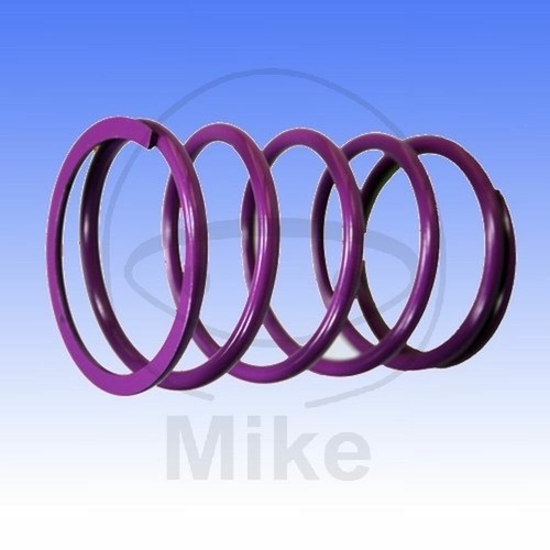 Purple variator spring - variator,