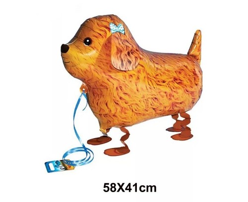 Poodle balloon dog walking - dog,