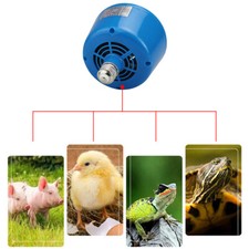 Heat Lamp Bulb Poultry Puppies