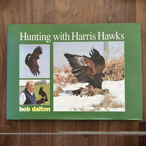 Hunting with harris hawks - hunting, by