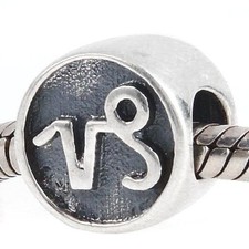 Capricorn Zodiac Charm Bead