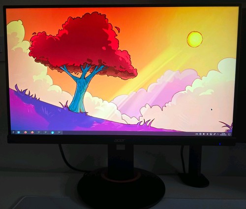 Acer xf250q 240hz 1080p - 24.5",