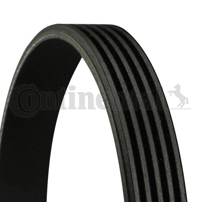 Ribbed belt continental - v-ribbed,