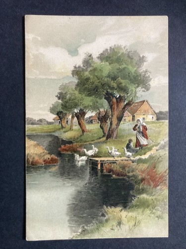 Farm geese countryside rural - farm,