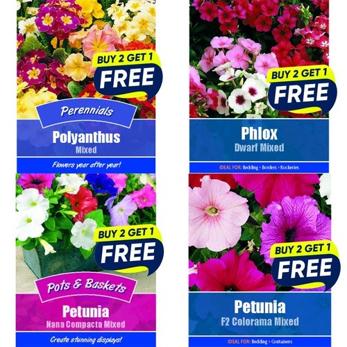 Flower seeds plants borders - seeds,