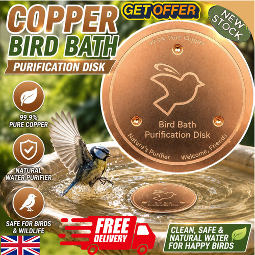 Bird bath copper disk - copper,