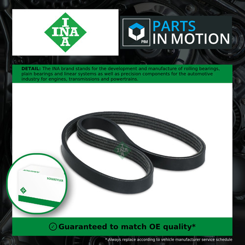 Rib multi drive - drive, belt