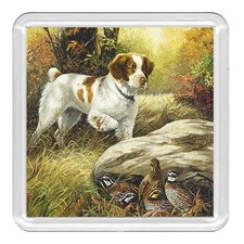 BRITTANY SPANIEL Dog Acrylic