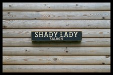 shady lady HOME BAR vintage