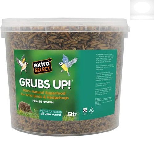 Grubs black soldier fly - soldier,