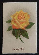 MARECHAL NIEL Some Beautiful Roses issued 1924 African Tobacco Silk SCARCE