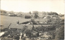 Westleton near Yoxford. Bird's