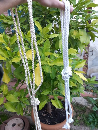Two cords dawn priest - cords,