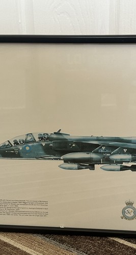 Squadron print jaguar - print,