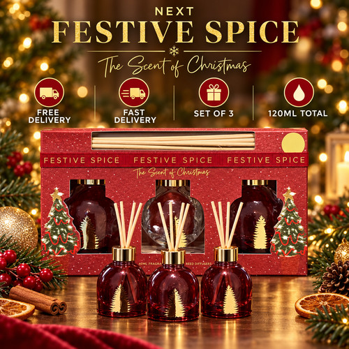 Next festive spice reed - next,