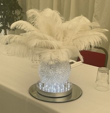 Top Table Fish Bowl Ostrich Feather Centrepieces Hire Wedding Party Decoration