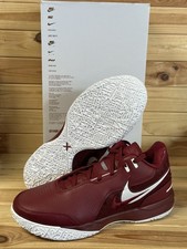 Nike LeBron NXXT Gen PROMO PE