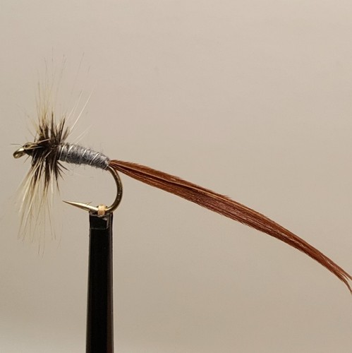 Spent mayfly grey drake - x,