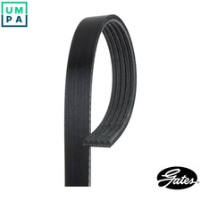 VRIBBED BELT 5PK948 FOR