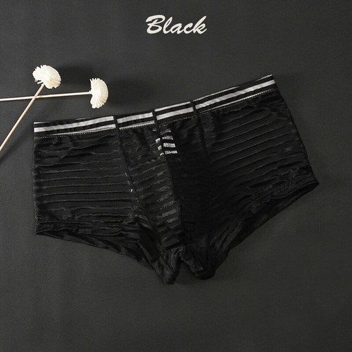 Mens sexy sheer see through - sexy,