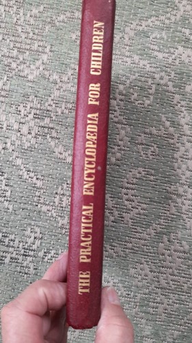Vintage book the practical - vintage,