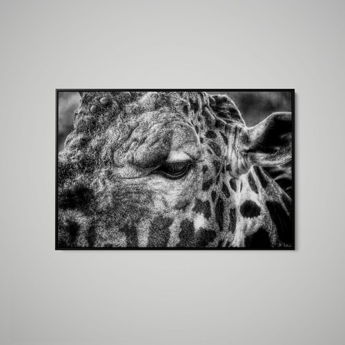Artographie giraffe close up - close,