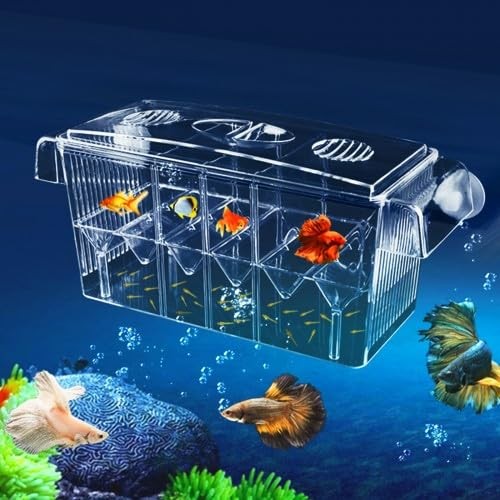 Fish breeding box - fish, large